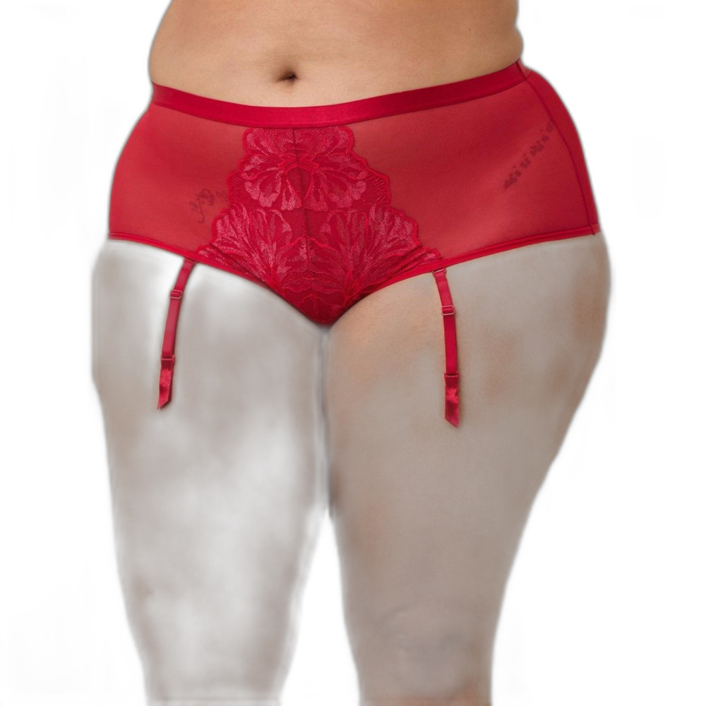 Torrid Nwt plus size 6x 30 shimmer lace midrise removable garter panty Read